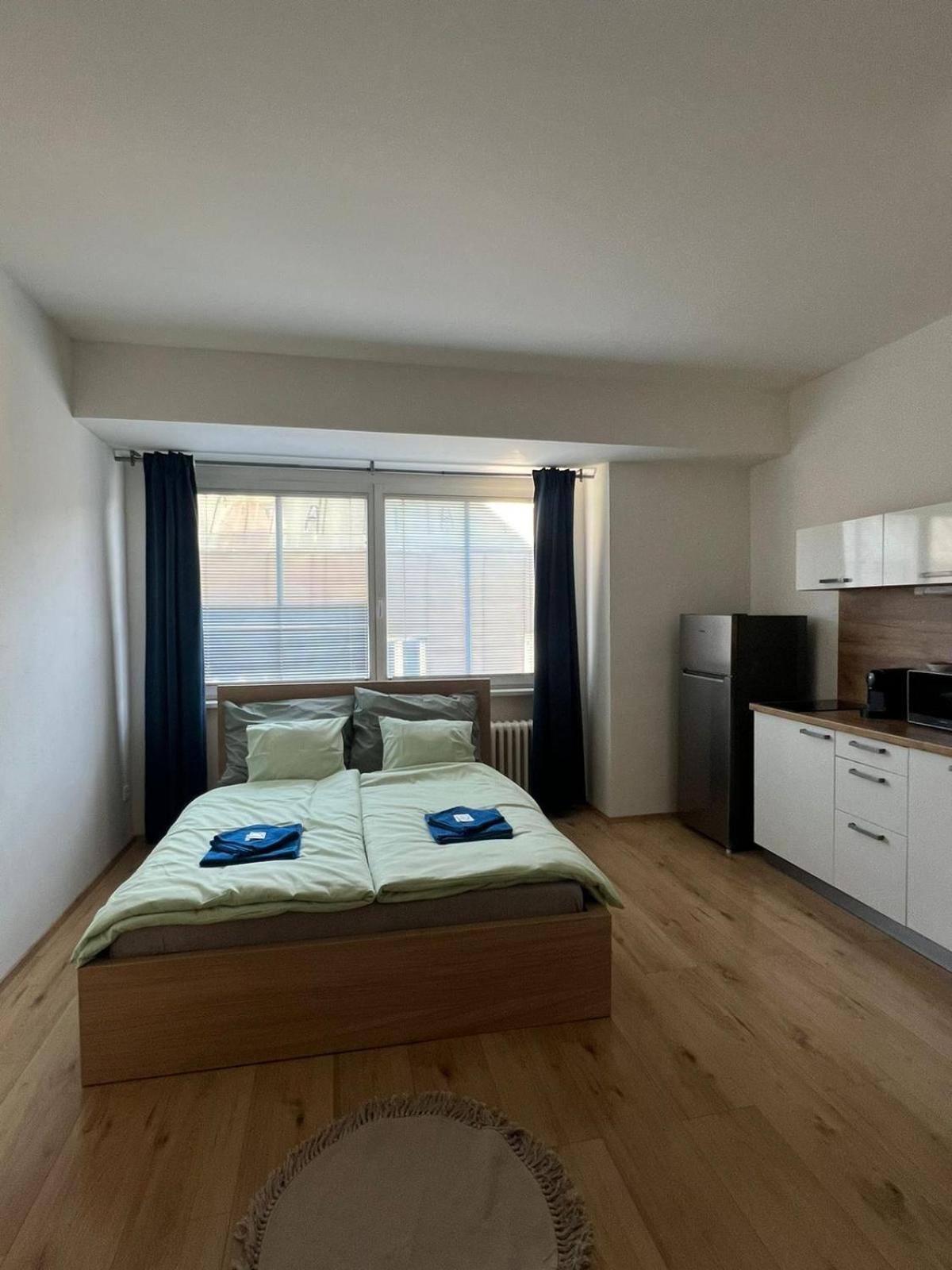Apartma Elisa Apartment Brno