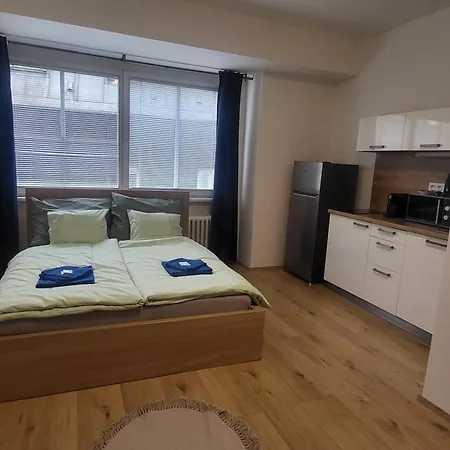 Apartma Elisa Brno Exterior photo